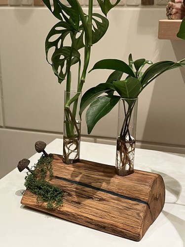 Reagenzglas vase holz - reagenzglas,