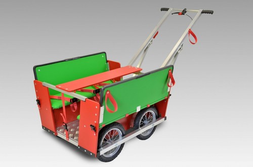 Krippenwagen sitzer mit - krippenwagen, sitzer,