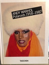 Andy warhol polaroids - andy,
