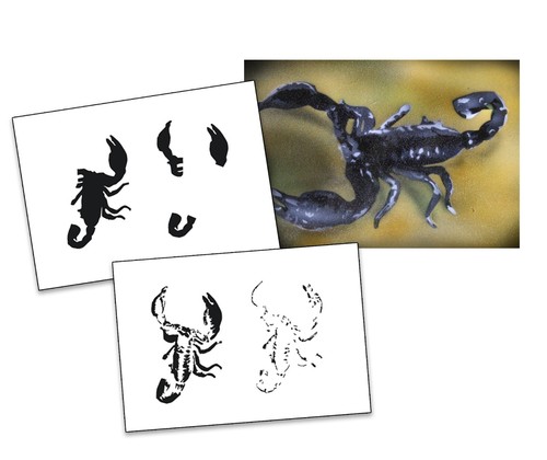 017 scorpion step - as-017, by