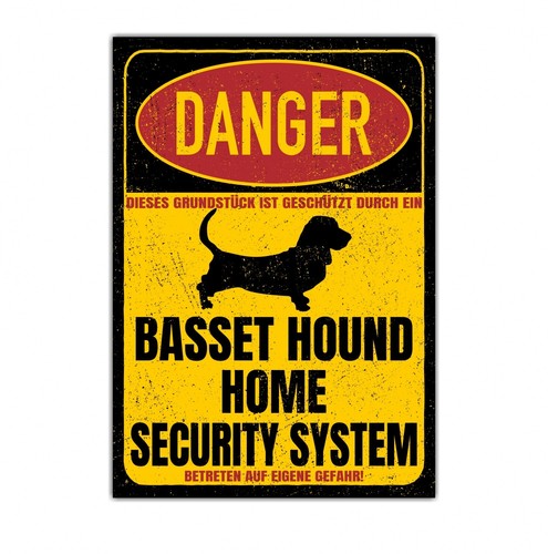 Basset hound dog - dog, danger