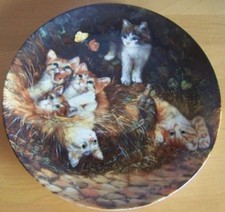 Katze Sammelteller Katzen Unerwarteter Besuch von Bradex