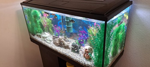 Aquarium komplett mit filter - mit,