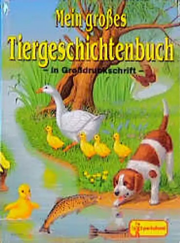 Mein grosses