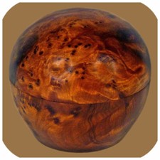 Thuja Holz Schatulle Dose