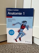 Endspurt Vorklinik: Anatomie
