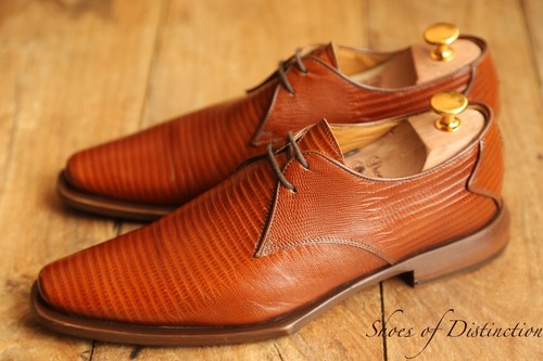 Oliver sweeney lizard - sweeney,