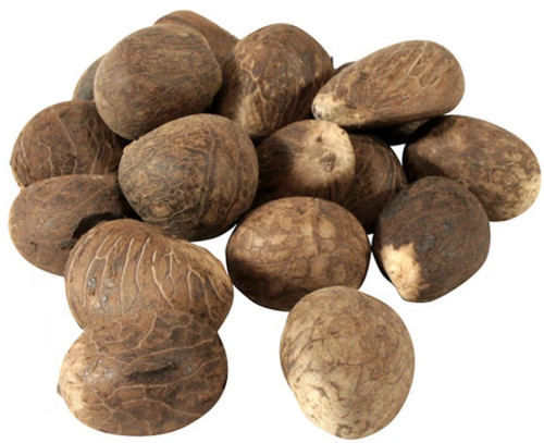 Ecuador tagua nuss vegan - nuss,