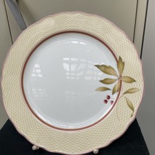 🍇🍇🍇 Hutschenreuther Medley New England York  Platzteller 30 cm  neu 🍇🍇🍇