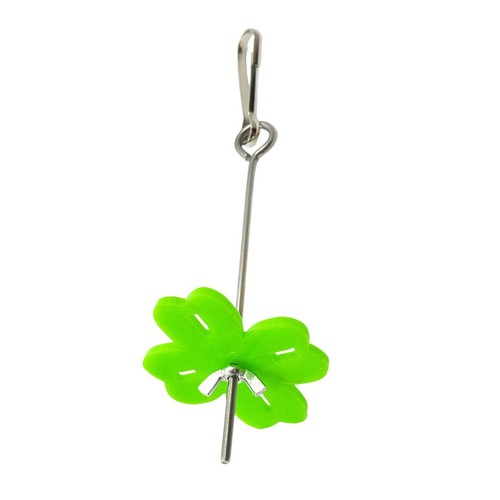 Bird fruit fork pet - bird,