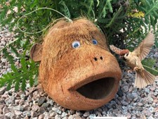 Vogelfutterhaus aus Kokosnuss