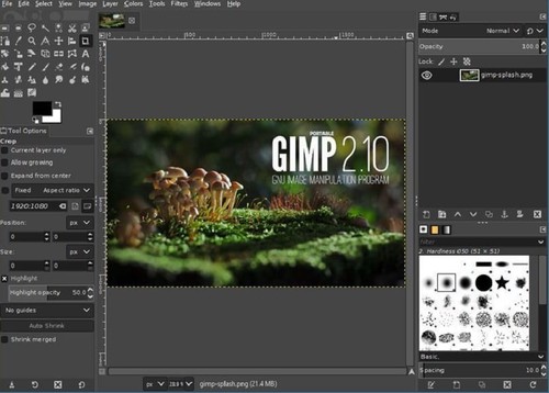 Gimp usb stick - gimp,