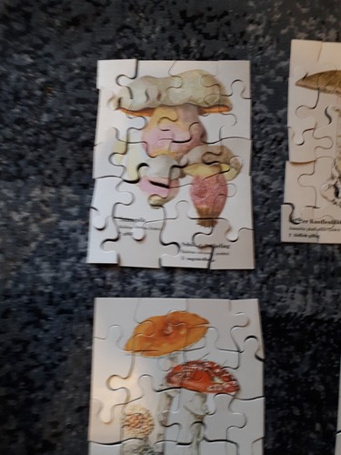 Famos puzzle - 5, famos-puzzle