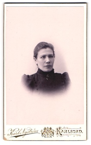 Fotografie karl nyström - fotografie,