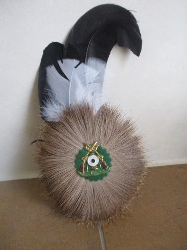 Schützenfeder mit feder - 1,