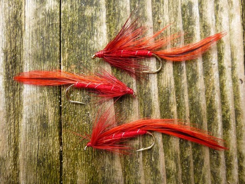 Red matuka streamer - 3,