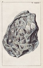 Vulkanischer Kalkstein Tuff