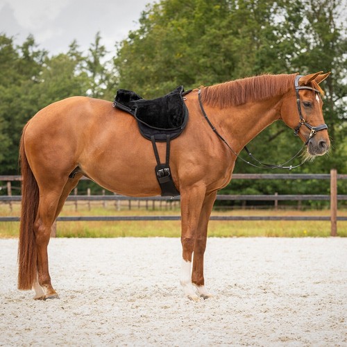 Qhp super soft - soft, bareback