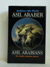 Asil araber arabiens - asil,