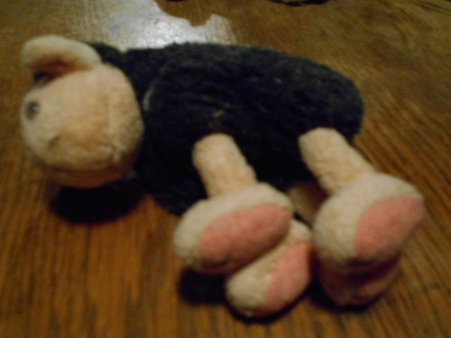 Diddle schwarzes schaf - diddle,schwarzes,