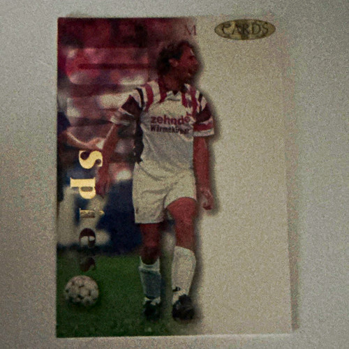 Panini fußball trading - panini,