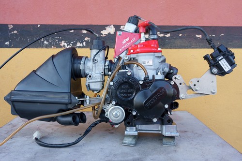 Rotax max 125 evo - 125,