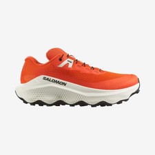 Traillaufschuhe Salomon Ultra