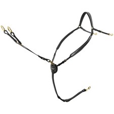 PASSIER Marcus Ehning