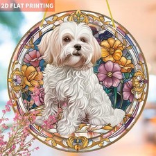 Malteser Hund Sonnenfänger