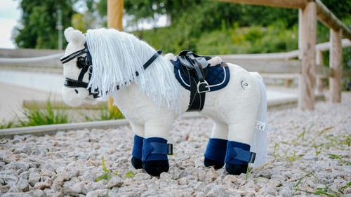 Pony academy mini - mini, und