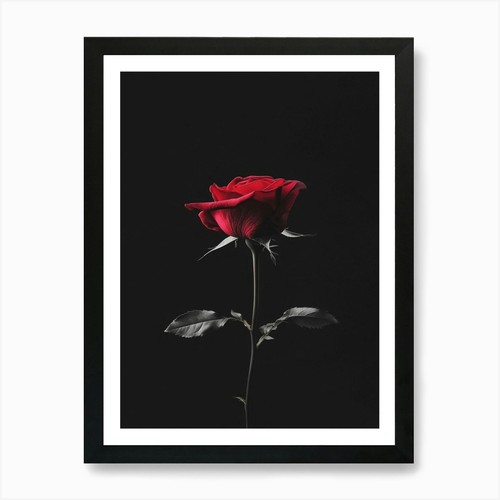 Dunkle rose 146 - rose,