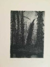 Manfred Butzmann: "Berankte