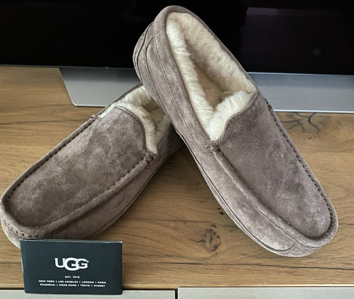 Ugg herren ascot halb - herren, m
