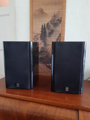 Yamaha e800 regal - nx-e800,