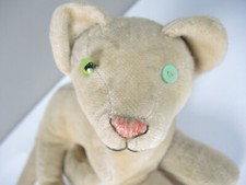 Alte Teddy Katze mit viel Charme