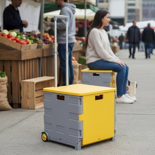 Faltbarer einkaufstrolley - faltbarer,