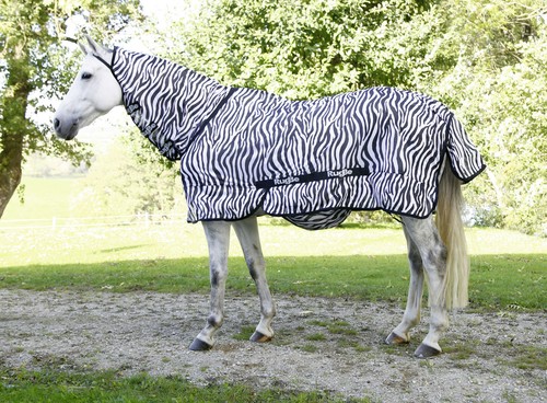 Zebra fliegen ekzemerdecken - fliegen,