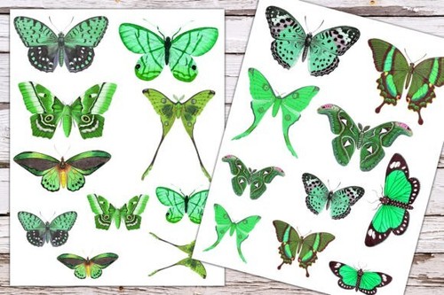 Scrapbook papier basteln - a4,