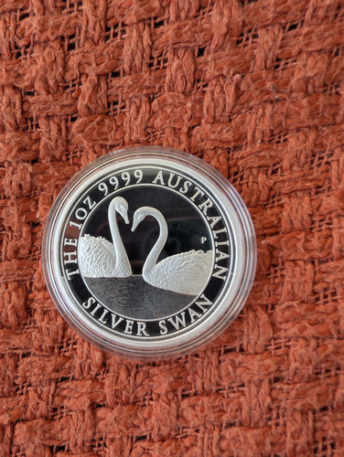 Silber schwan swan - oz,