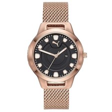 Klassische Puma Reset P1009