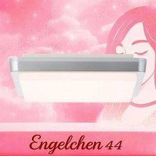 LED Außenleuchte Wandleuchte Lampe 28cm Silber Deckenlampe IP65 Brilliant Devora