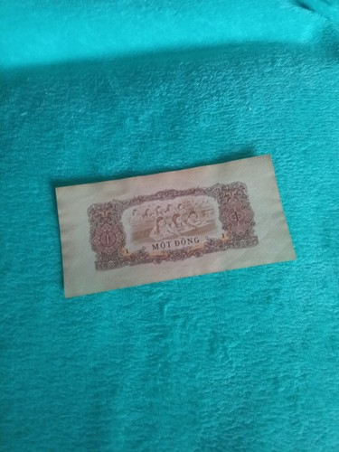 Vietnam dong - vietnam,