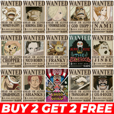 One Piece Wanted Poster