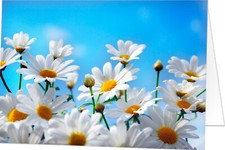 Grußkarte Blanko ohne Text