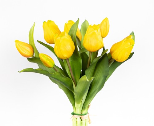 Tulpenbund nature real touch - tulpenbund,