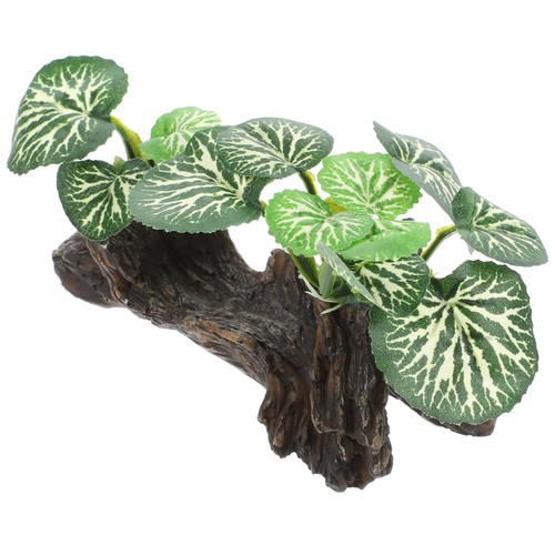 Terrarium zubehör - terrarium,