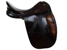 Prestige Appaloosa Dressage