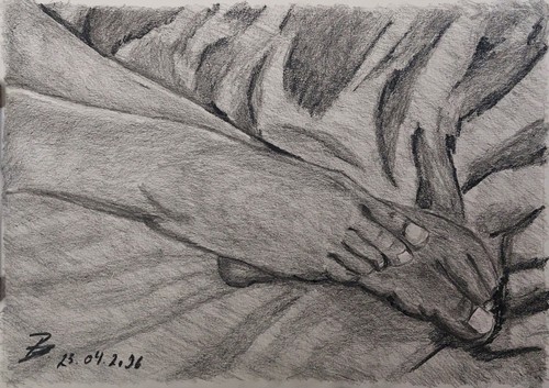 Frauenfüsse iii original - iii,
