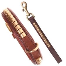 Halsband und Leine Set Row