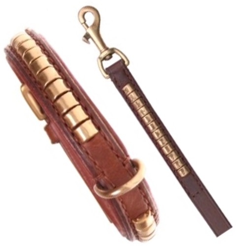 Halsband und leine set - halsband,